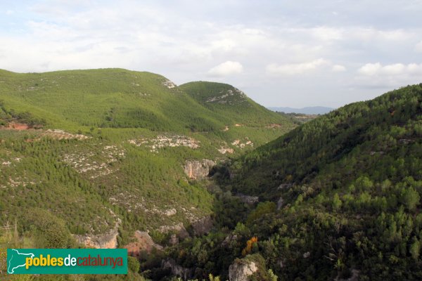 Mediona - Panoràmica des del Castell