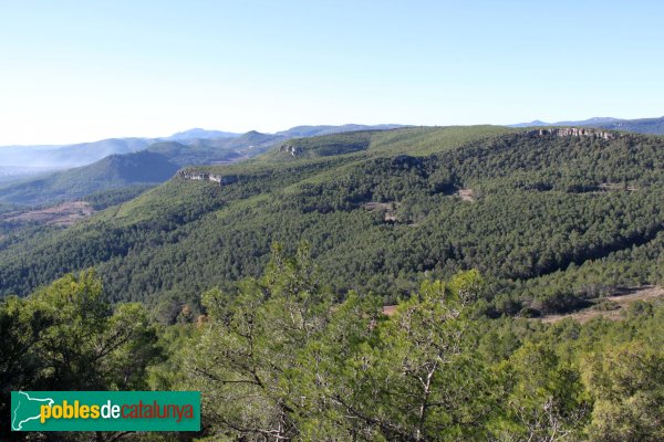 Font-rubí - Panoràmica des del castell