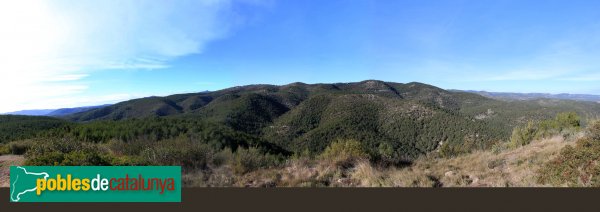 Castellví de la Marca - Panoràmica des del Castellvell