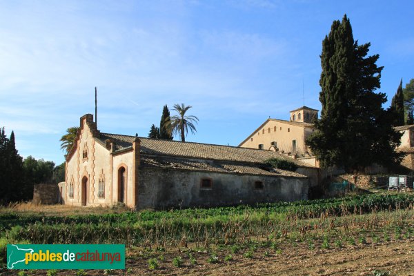 Castellví de la Marca - Cal Morgades, el celler