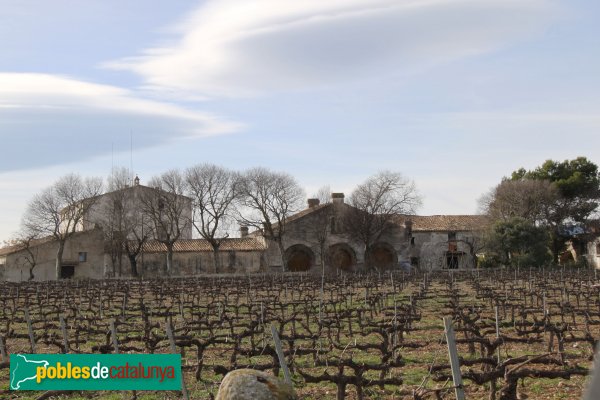 Santa Margarida i els Monjos - Celler de la Riba