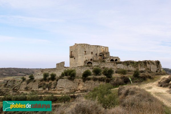 Ribera d'Ondara - Castell de Timor