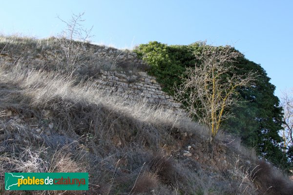 Ribera d'Ondara - Ruïnes del castell de Rubinat (Foto: Albert Esteves, 2014) Ribera d'Ondara - Ruïnes del castell de Rubinat