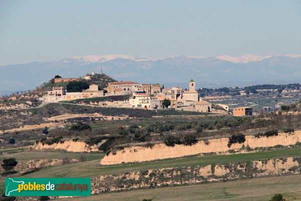 Ribera d'Ondara - Rubinat, de lluny