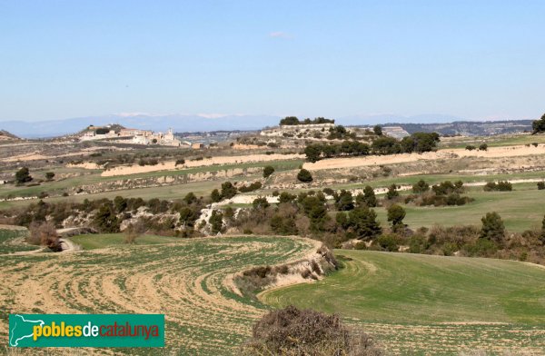 Ribera d'Ondara - Rubinat, de lluny, amb el turó a mà esquerra (Foto: Albert Esteves, 2014) Ribera d'Ondara - Rubinat, de lluny, amb el turó a mà esquerra