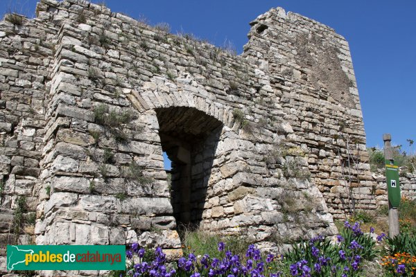 Foto de Montoliu - Castell de Montoliu