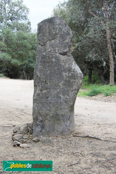 Maçanet de Cabrenys - Pedra Dreta