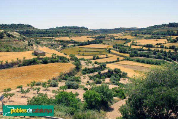 Panoràmica des de Montornès de Segarra, al mes de juny