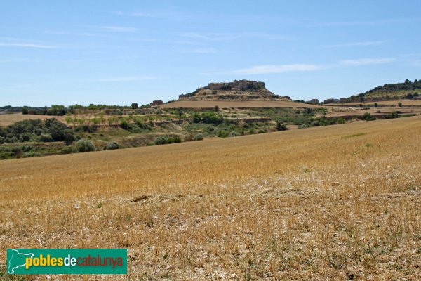 Granyanella - Fonolleres