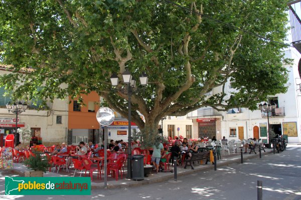 Colera - Plaça de Pi i Margall, amb l'arbre monumental