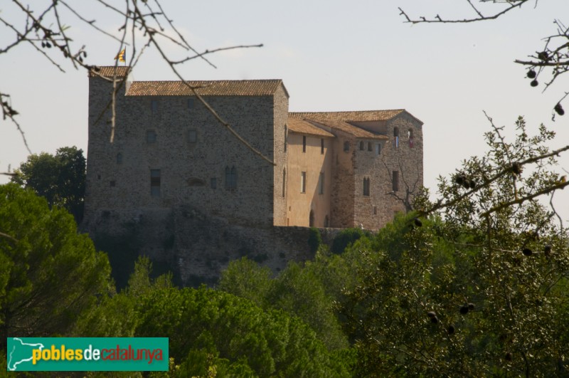 Cara Nord del Castell