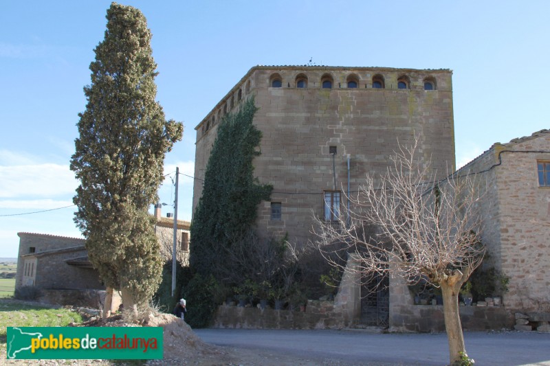 Plans de Sió - Castell de l'Aranyó