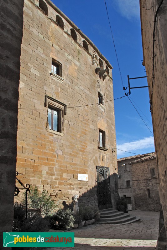 Plans de Sió - Castell de l'Aranyó