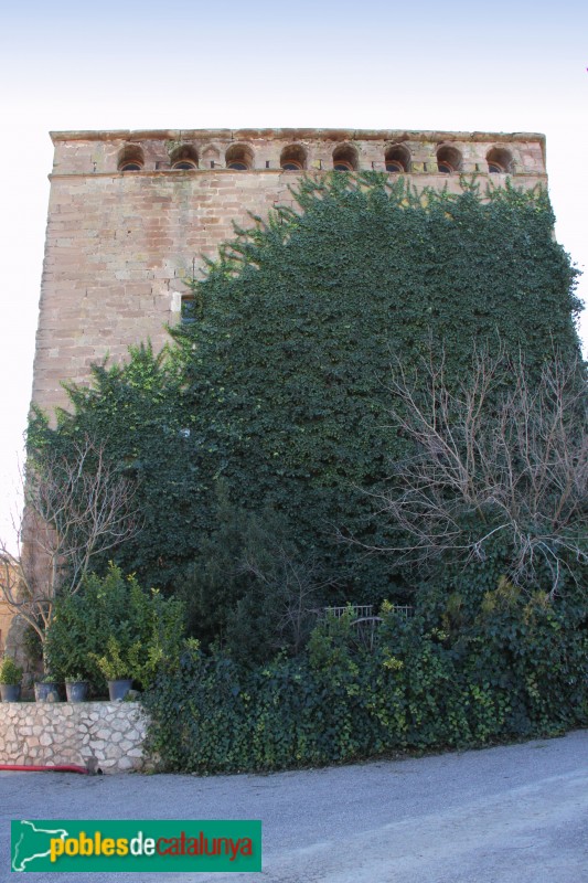 Plans de Sió - Castell de l'Aranyó