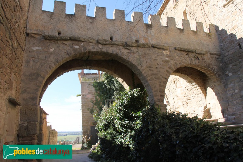 Plans de Sió - Fortificacions de l'Aranyó