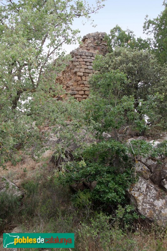 Torà - Castell de l'Aguda