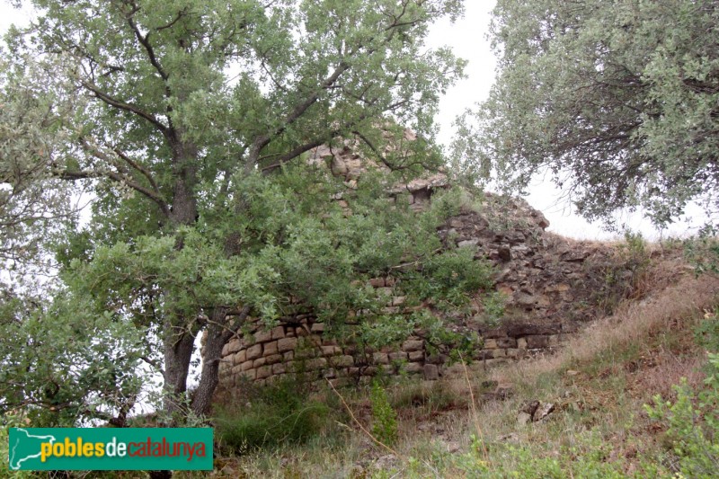 Torà - Castell de l'Aguda