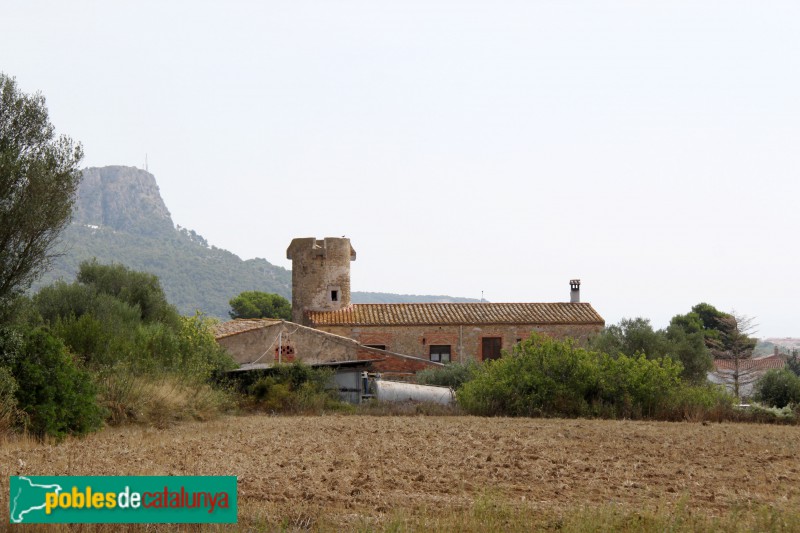 Torroella de Montgrí - Torre Quintaneta (Foto: Albert Esteves, 2015) Torroella de Montgrí - Torre Quintaneta