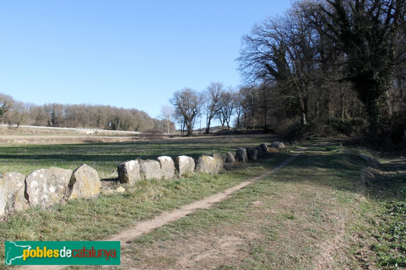 Collsuspina - Camí Ral