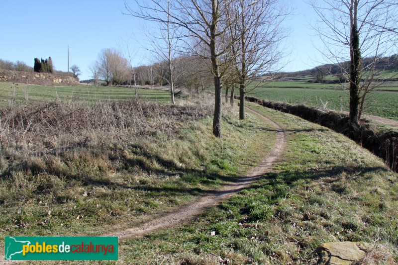 Collsuspina - Camí Ral