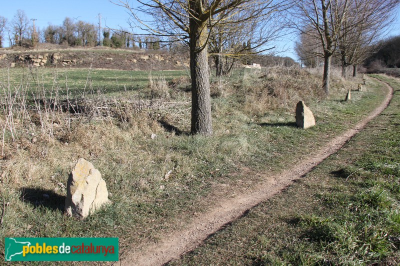 Collsuspina - Camí Ral