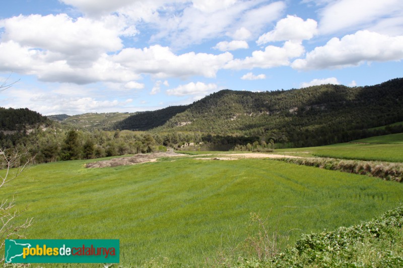 Calders - Pla de Bellveí amb Sant Andreu al fons