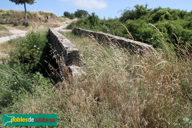 Moià - Pont de les Graus