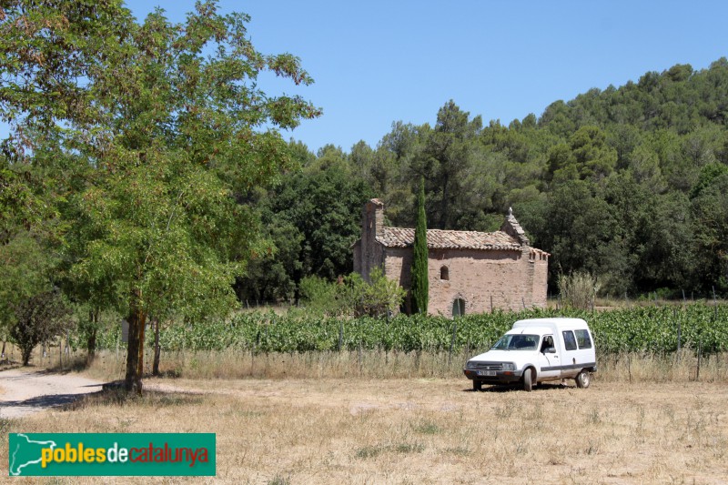 Santa Maria d'Oló - Santa Creu de la Plana (6)