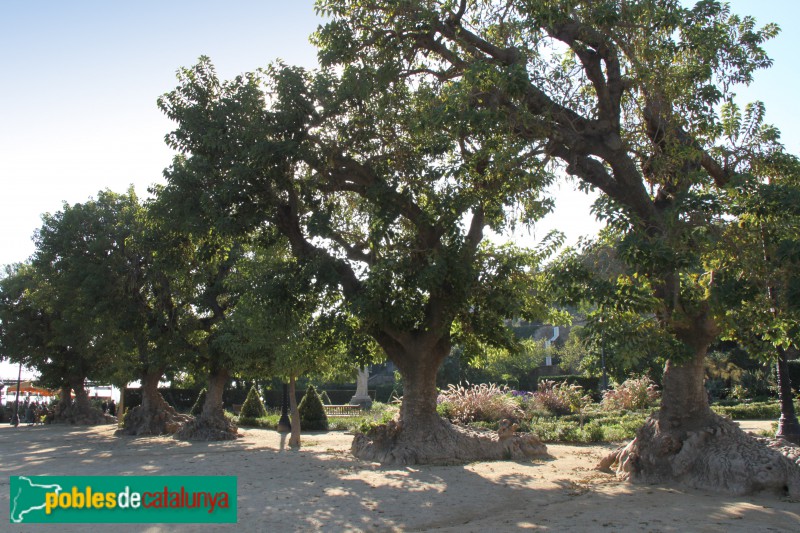 Barcelona - Jardins de Miramar