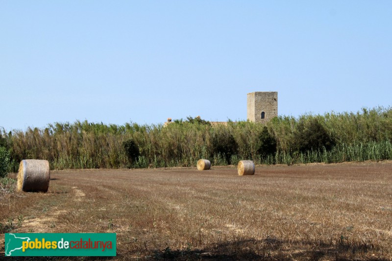 Palafrugell - Mas Petit d'en Caixa (Ermedàs) (Foto: Albert Esteves, 2017) Palafrugell - Mas Petit d'en Caixa (Ermedàs)