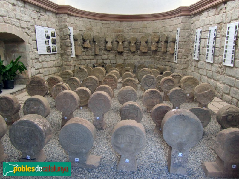 Foto de Sanaüja - Esteles dicoïdals
