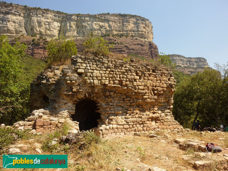 Vilanova de Sau - Domus del Pi