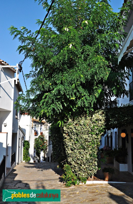 Palafrugell - Calella de Palafrugell (Foto: Alberto González Rovira, 2018) Palafrugell - Calella de Palafrugell