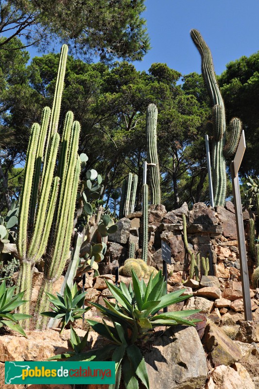 Palafrugell - Cap Roig, jardins (Foto: <i>Alberto González Rovira</i>, 2018) Palafrugell - Cap Roig, jardins