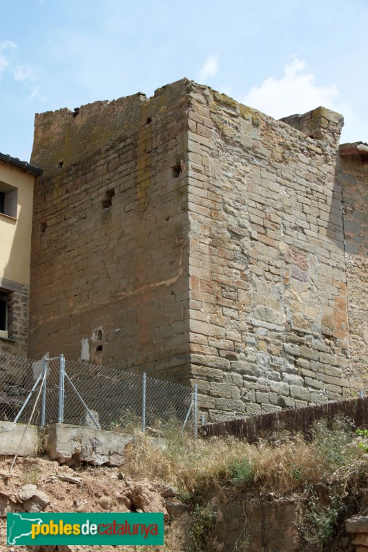 Tàrrega - Castell de Riudovelles