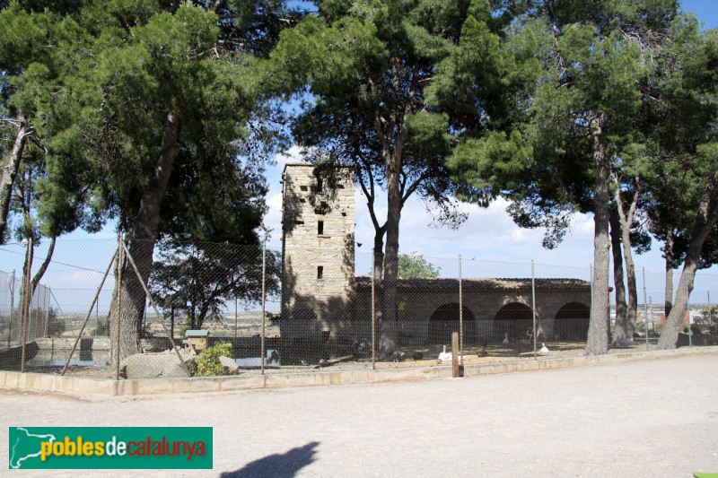 Tàrrega - Parc de Sant Eloi, la Cleda