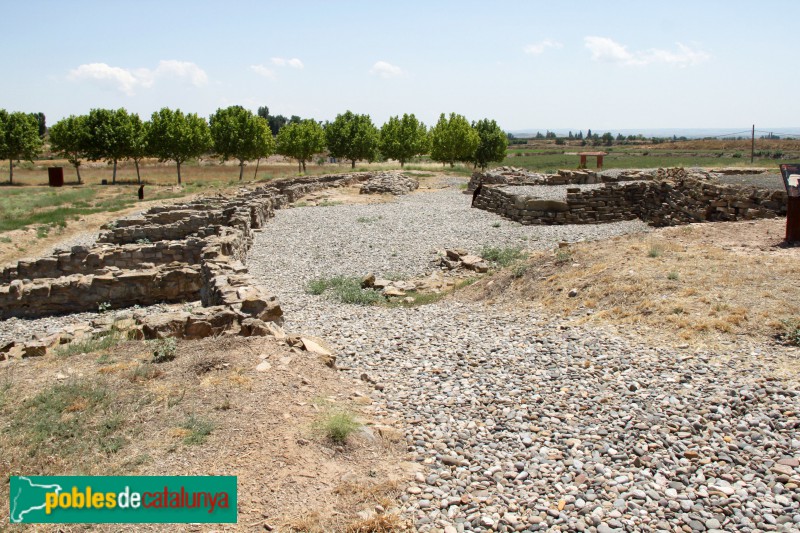 Tornabous - Molí de l'Espígol