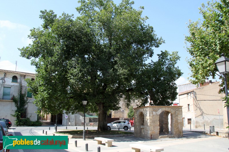 Banyeres del Penedès - Font de la plaça de l'Om