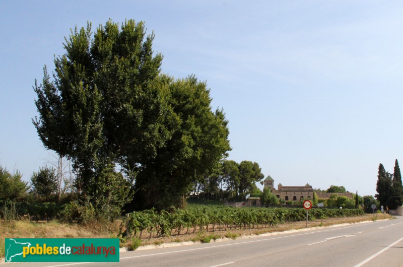 Banyeres del Penedès - Heretat Sabartés