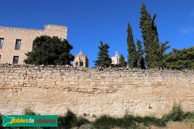 Vallbona de les Monges - Muralla