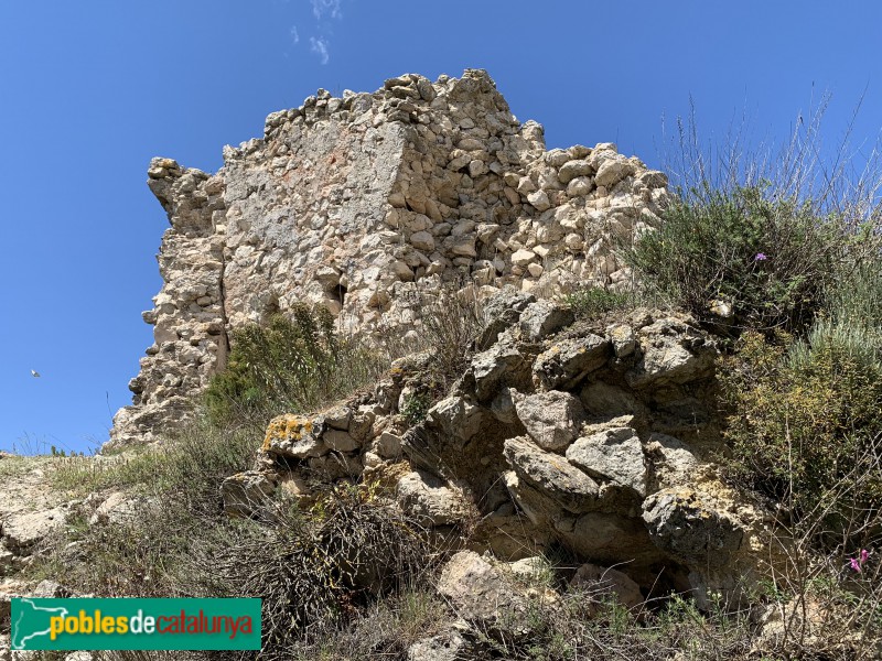 Aiguamúrcia - Castell de Selma