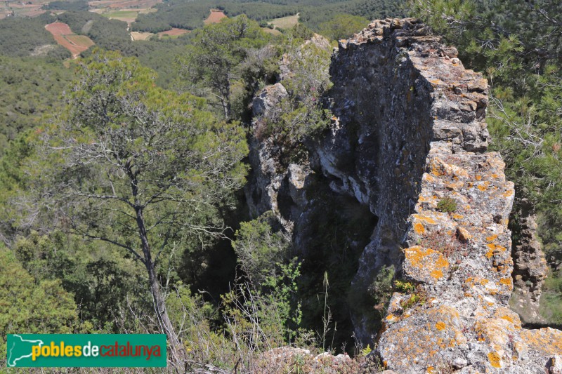 Aiguamúrcia - Castell de Selma