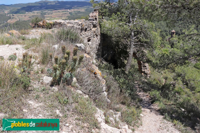 Aiguamúrcia - Castell de Selma