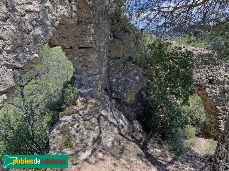 Aiguamúrcia - Castell de Selma