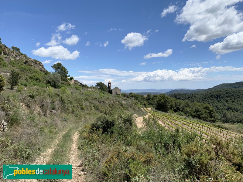 Aiguamúrcia - Poble abandonat de Selma