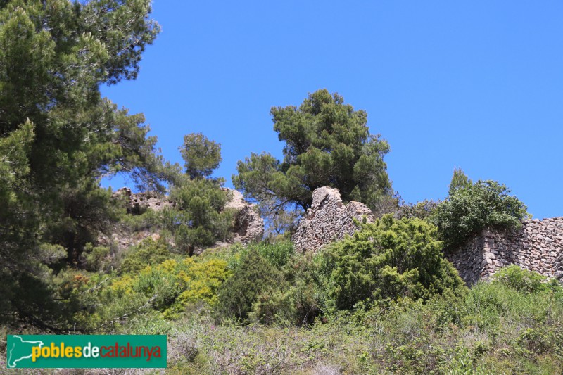 Aiguamúrcia - Poble abandonat de Selma