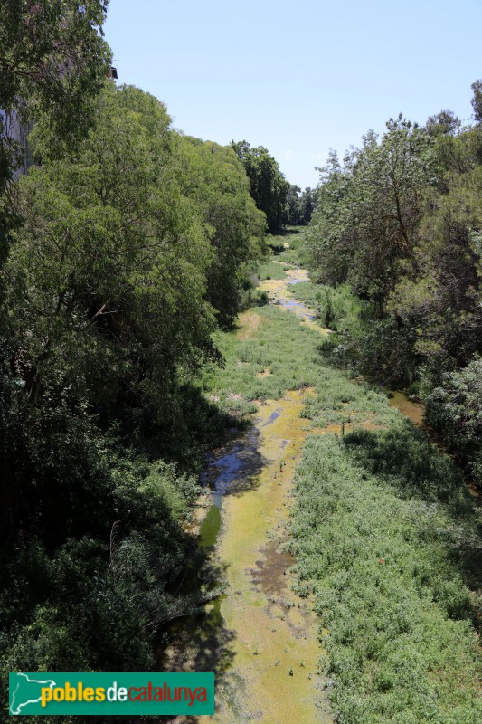 Aiguamúrcia - Vista del riu Gaià des del Pont de Pedra (Santes Creus)