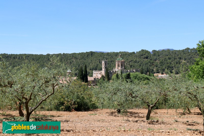 Aiguamúrcia - Monestir de Santes Creus