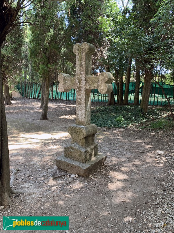 Monestir de Santes Creus - Cementiri