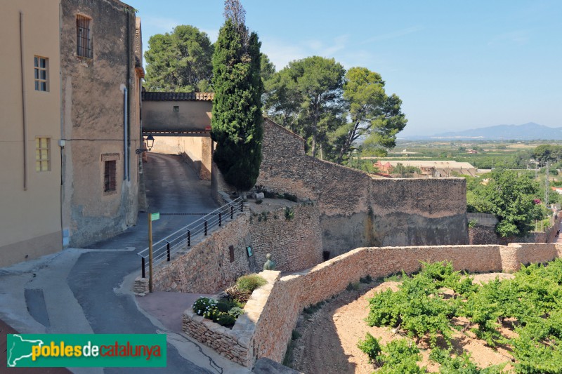 Puigpelat - Muralla